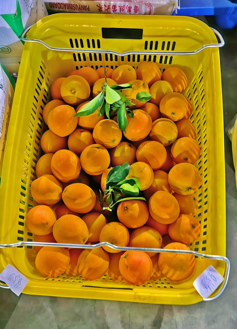漆河镇水果店：在甜蜜产业中绽放异彩